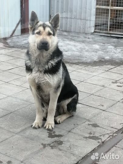 Кабель на вязку