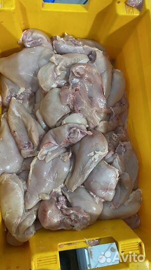 Филе Курицы Гост Халяль от производителя