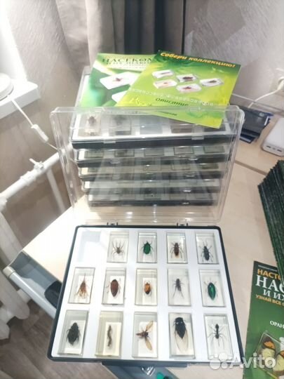 Полная коллекция Насекомые и их знакомые