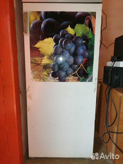 Холодильник полюс