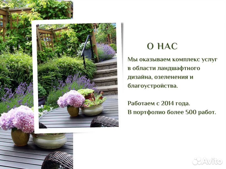 Ландшафтный дизайн. Растения для благоустройства