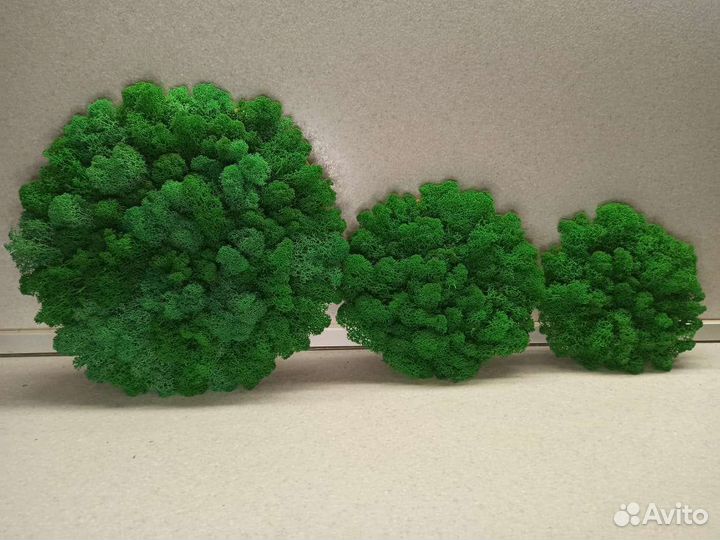 Декоративное панно из стабилизированного мха