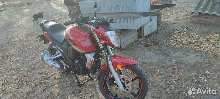 Рейсер нитро 250