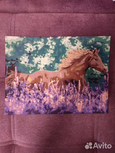 Картина по номерам на картоне раскрашенная