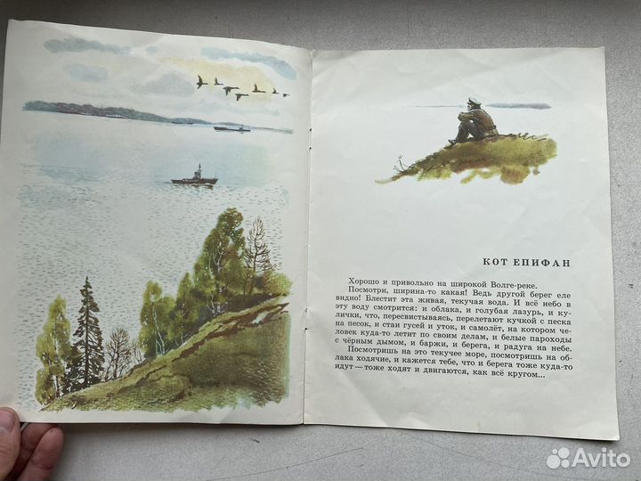 1985 год кот епифан