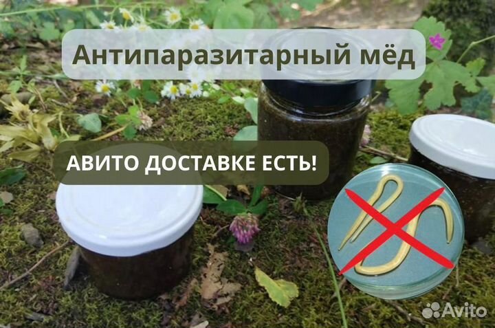 Мед с травами от паразитов в организме