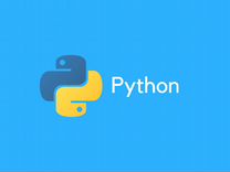 Программа Python