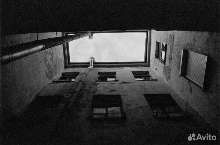 Проявка, оцифровка фотопленки c-41, ecn-2, d-76