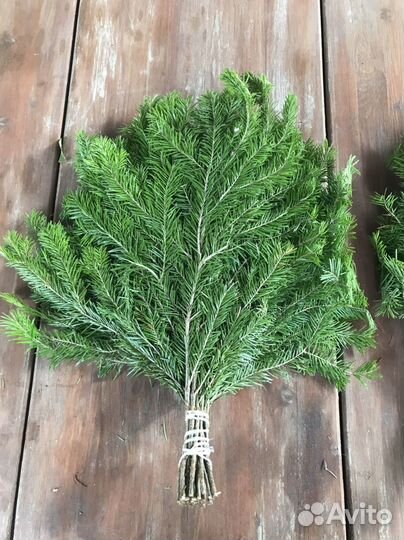 Пихтовые и можжевеловые веники. Веники для бани