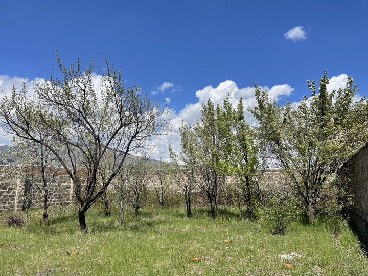 Участок 800 м² (Армения)