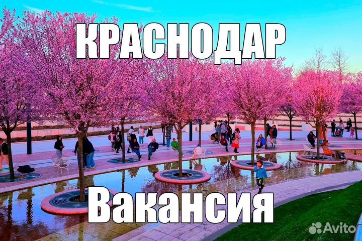 Комплектовщик(ца) / Работа / Проживание и питание