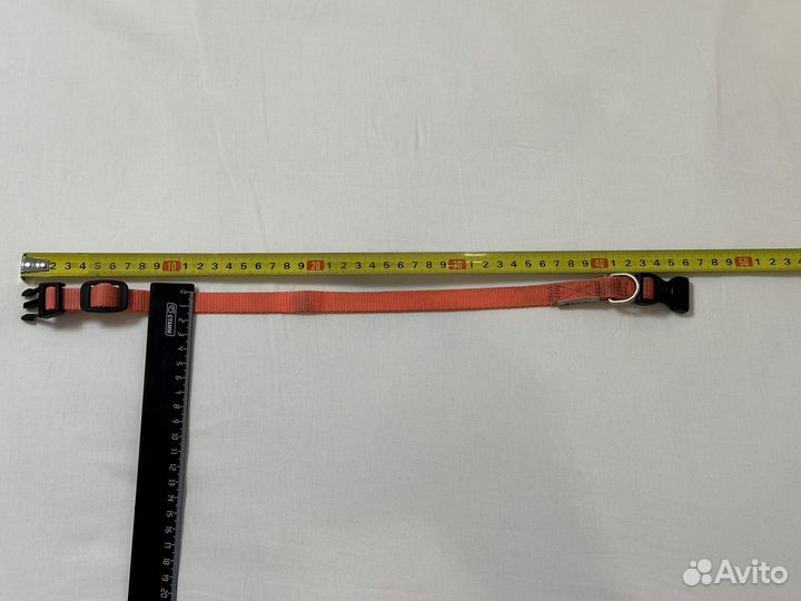 Ошейник нейлоновый Ferplast Club, оранжевый