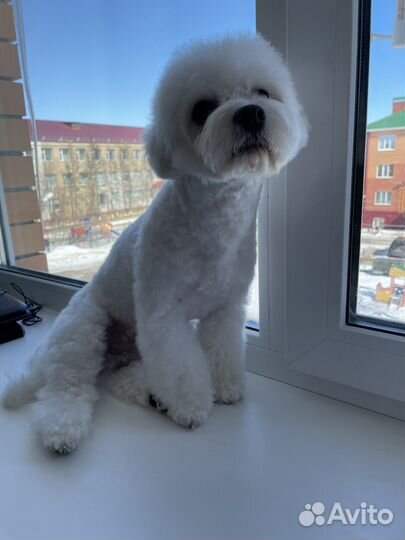 Вязка