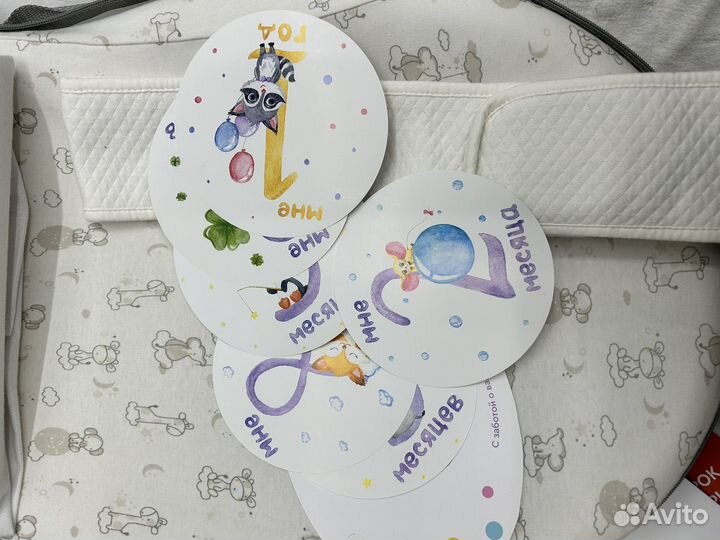 Кокон зевушка