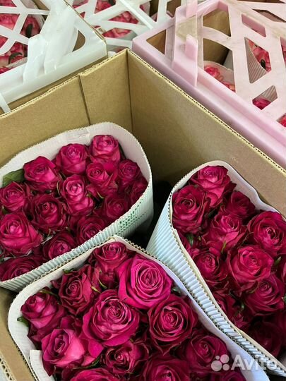 Живые цветы букеты