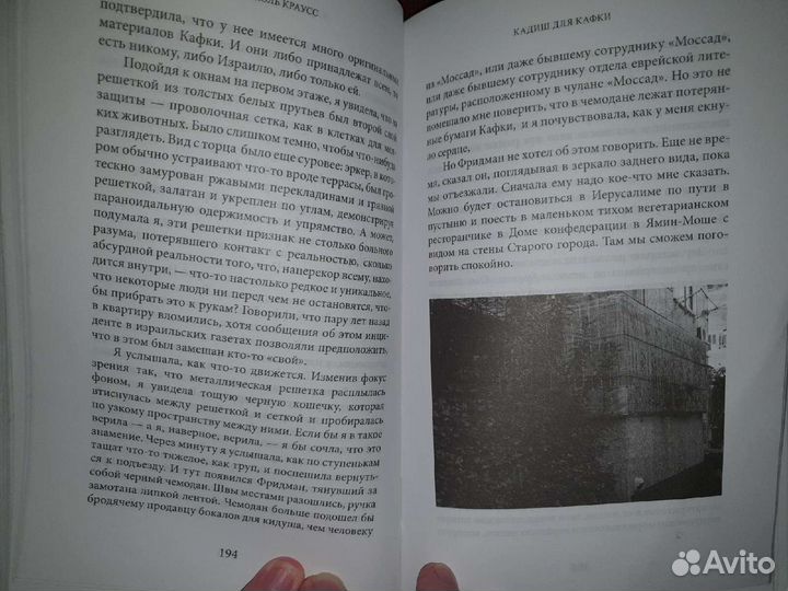 В сумрачном лесу. Краусс