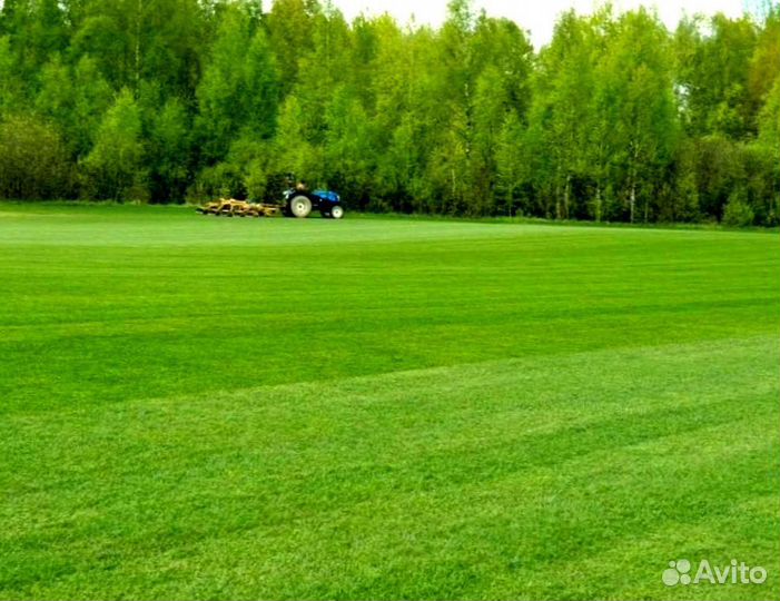 Рулонный газон от производителя