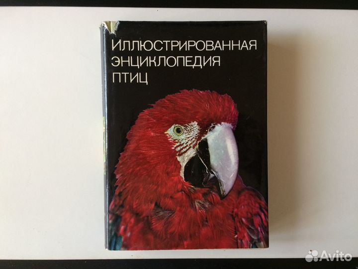 Ганзак. Иллюстрированная энциклопедия птиц