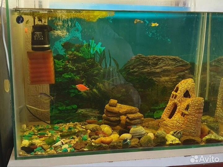 Аквариум с рыбками