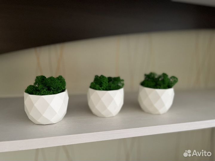 Кашпо со мхом