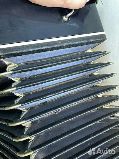 Баян тульский