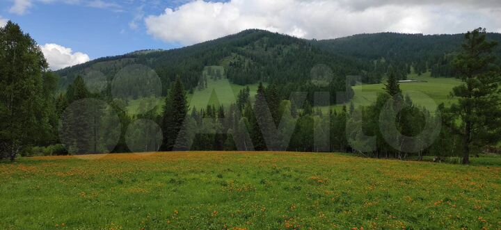 Коттедж 300 м² на участке 12 га