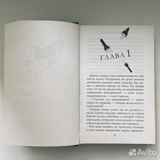 Книга от автора 