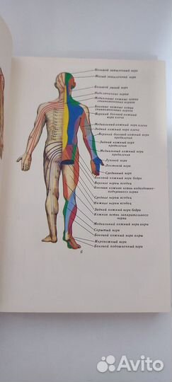 Яроша Нервные болезни 1985 г