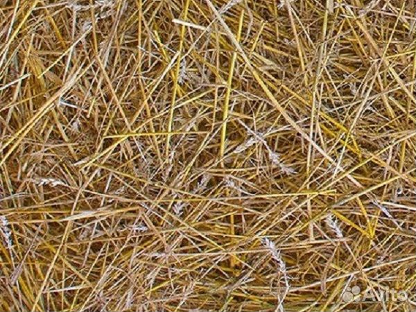 Солома в мешках