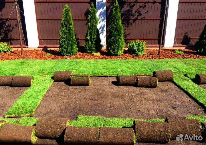 Укладка рулонного газона под ключ