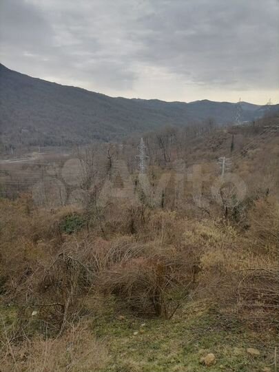 Участок 20 сот. (СНТ, ДНП)