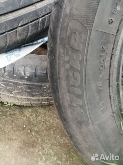 Tigar Winter 16/65 R16