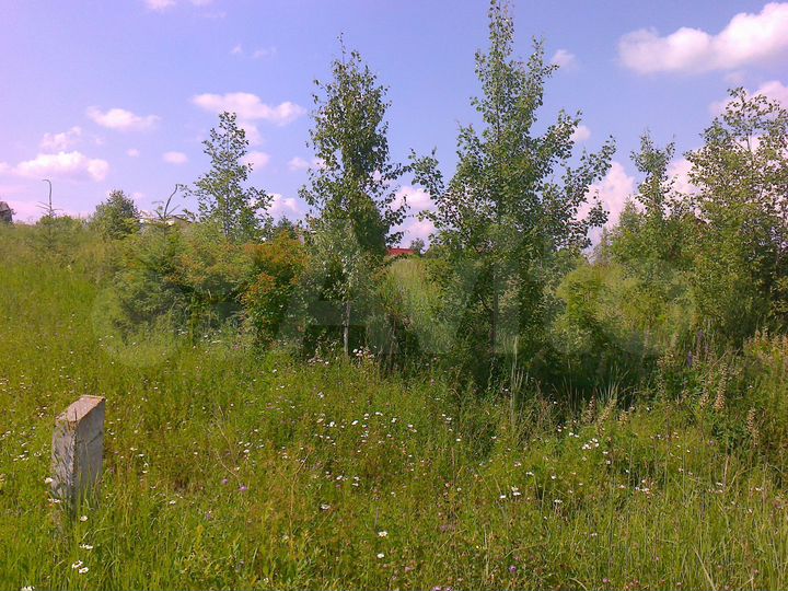 Участок 24 сот. (ИЖС)