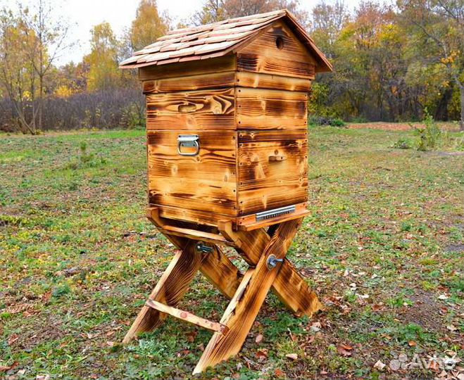 Купить пчёл Карпатка, пчелопакет, улей 