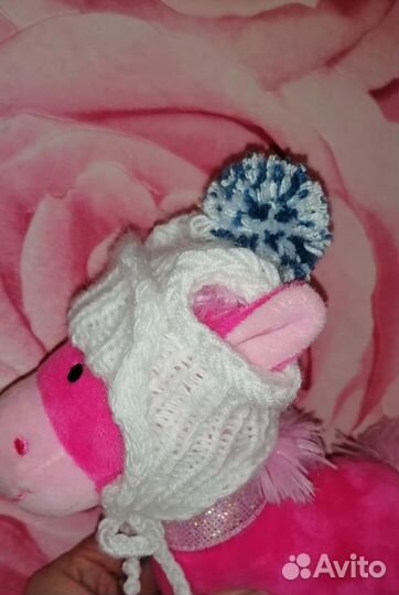 Одежда на собак