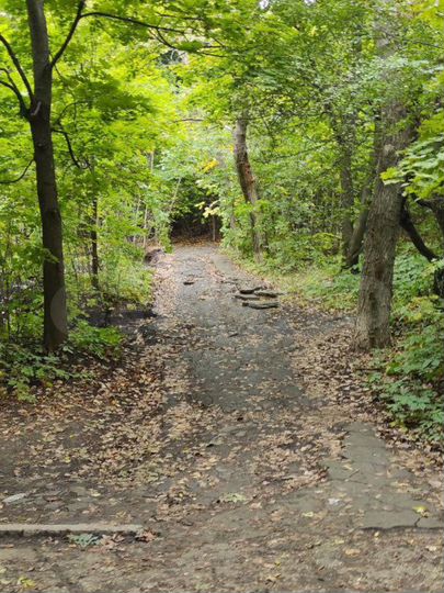 Участок 6 сот. (ИЖС)