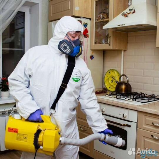 Дезинфекция,тараканы, клопы, и т д