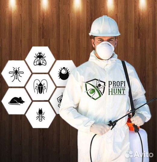 Уничтожение тараканов, клопов