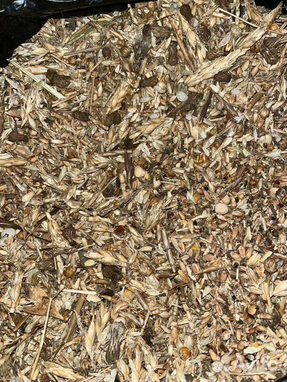 Зерноотходы