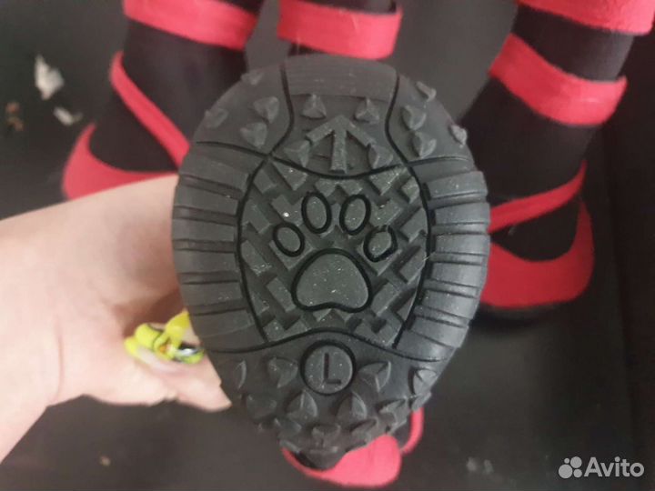 Ботинки для собак