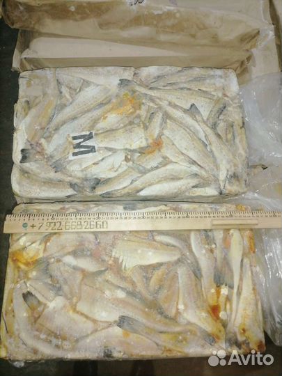 Минтай мороженый без головы