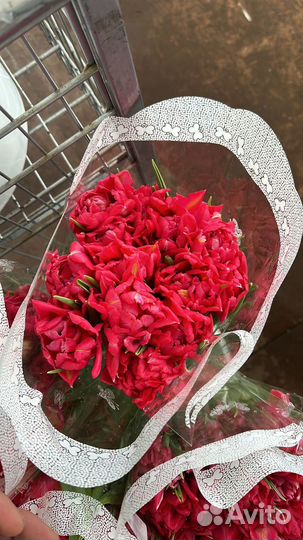 Тюльпаны весь март