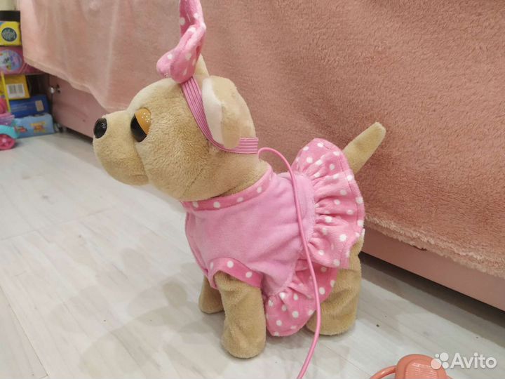 Чичи лав. Машет хвостиком,сопровождение веселой пе