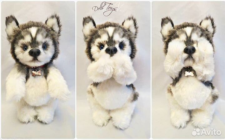 Меховой Хаски в стиле Тедди