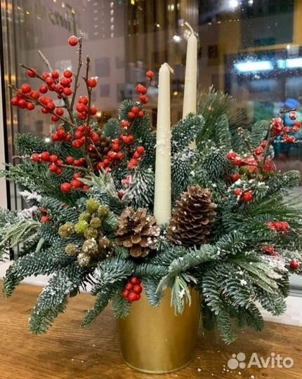 Шишки еловые сосновые