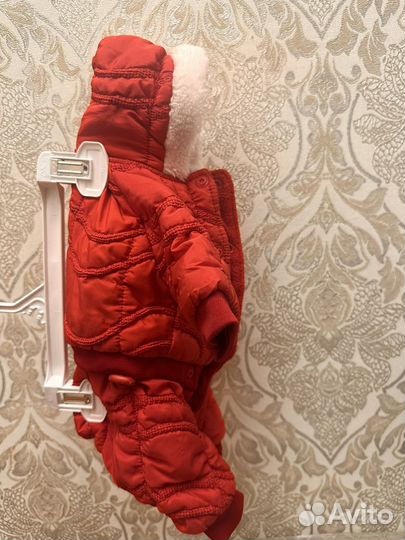 Одежда для собак