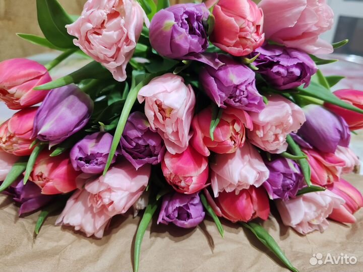 Тюльпаны пионовидные букет