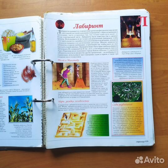 Школьная энциклопедия