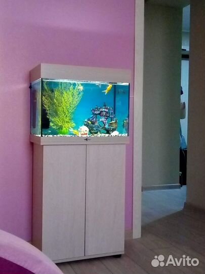Аквариум с тумбой 60 л