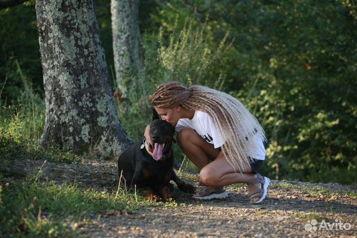 Выгул собак. Няня для собак и питомцев (зооняня)